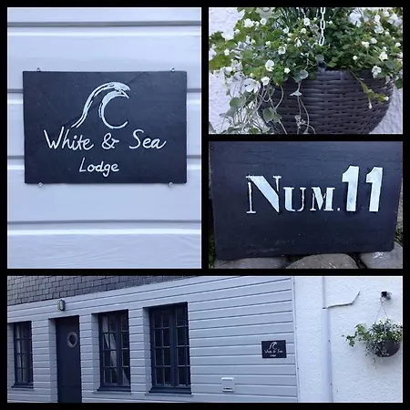 White And Sea